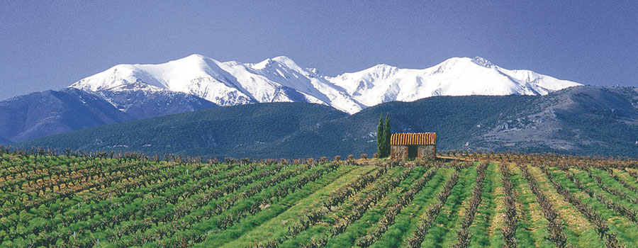 canigou_neige_jauzac